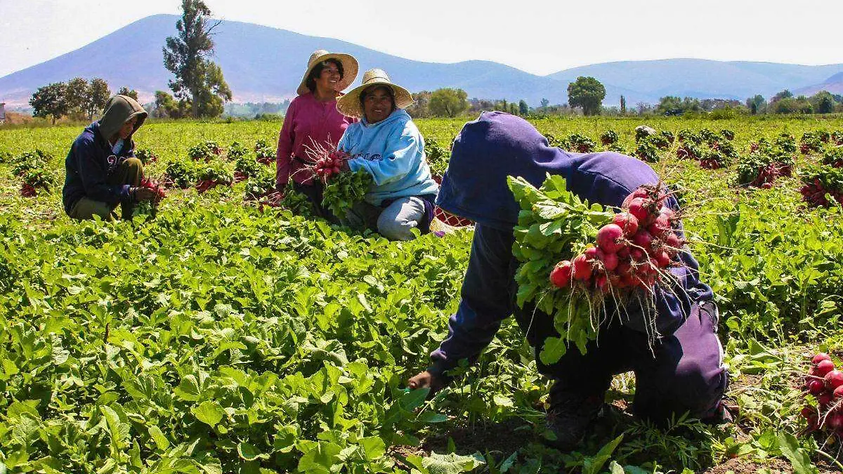 Actividad económica creció 0.1 en febrero, estima el Inegi